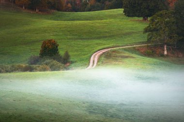 Güneşin doğuşuyla birlikte yeşil tepeler, tarlalar ve ormanın içinden geçen dolambaçlı kırsal bir yolun resimli hava görüntüsü. Meşe, ladin, huş ağacı. Renkli altın, kırmızı, turuncu yapraklar. Doğa, mevsimler, sonbahar
