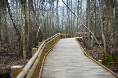 Sabah sisi içinde sulak arazide modern ahşap patika. Letonya 'da ilkbahar başı. Idyllic kırsal kesim. İskandinav yürüyüşü, dinlenme, eko turizm, çevre koruma kavramları