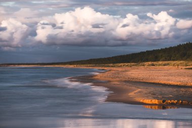 Fırtınadan sonra kumlu deniz kıyısında destansı, parlak pembe günbatımı kümülüs bulutları. Arka planda çam ormanı. Dramatik bir gökyüzü. Idyllic deniz manzarası. Uzun pozlama. Resim gibi bir manzara.