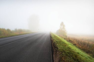 Gün doğumunda sisli bir havada boş otobanın arabasından ormana ve tarlalara doğru panoramik bir manzara. Avrupa. Ulaşım, lojistik, seyahat, yolculuk, özgürlük, sürüş. Kırsal alan