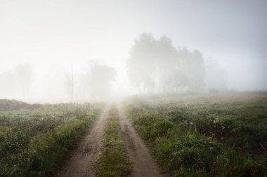 Gün doğumunda sisli bir havada yeşil ormanın içinden geçen boş bir kırsal yol (patika). Saf sabah ışığı. Letonya 'da sonbaharın başlarında. Sonbahar, mevsimler, yol gezisi, tatiller, eko turizm teması