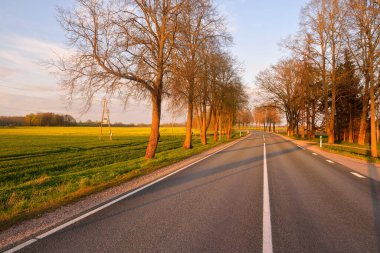 Gün batımında tarımsal kırsal alanlarda boş bir otoyol. Uzun yaprak döken ağaçlardan oluşan bir ara sokak. - Letonya. Bahar manzarası. Yeni asfalt yol. Hız, özgürlük, sürüş kavramları