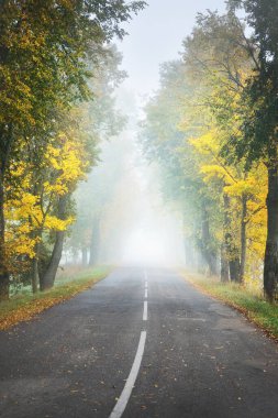 Renkli meşe, huş ağacı, yeşil, turuncu, sarı, altın yapraklı akçaağaç ağaçları boyunca eski asfalt köy yolu (alley). Yoğun sabah sisi. Doğal tünel. Atmosferik sonbahar manzarası