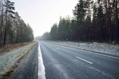 Bir tipiden sonra sonsuz yeşil çam ormanında (yeni asfalt yol) boş bir otoyol. Açık kış günü. Noel tatilleri, yerel turizm, Avrupa 'da tecrit. Sürüş, lojistik, uzak yerler