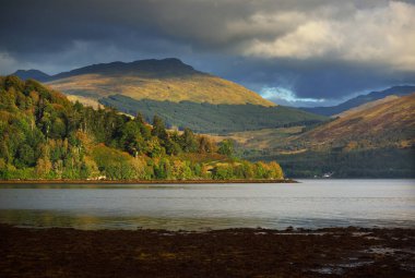 Bulutlu bir günde Loch Fyne yakınlarındaki sahil, orman ve tepelerin manzarası. Inveraray, Inner Hebrides, Argyll ve Bute, İskoçya, İngiltere