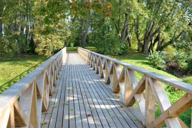 Açık bir günde yeşil yaprak döken ormanda modern ahşap patika (tahta yol), renkli akçaağaç yaprakları yakın çekim yapar. Güneş ışığı ve gölgeler. Eğlence, çevre, eko turizm, Letonya 'da tatiller