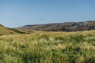 Islay Adası 'nın kayalık kıyıları ve vadilerin panoramik manzarası. Inner Hebrides, İskoçya, İngiltere. Idyllic manzara. Seyahat yerleri, ulusal dönüm noktası, eğlence, çevresel koruma
