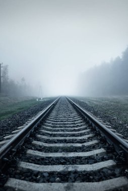 Kalın beyaz sisli tren yolu, arka planda orman. Manzara kavramı. Yük ve yolcu taşımacılığı, endüstri, iş, iletişim, çevresel hasar. Monokrom, gizem