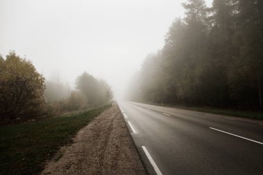 Yoğun siste boş asfalt yolu (karayolu). Kentsel sonbahar manzarası kavramı. Ulaşım, tehlikeli sürüş, hız, özgürlük, seyahat, turizm, tatiller, boşluk, yalnızlık, yol