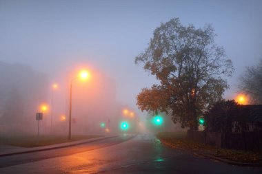 Yağmurlu bir günde ağaçların arasından geçen boş bir asfalt yol ve küçük bir kasaba, yakın plan sokak fenerleri, kırmızı ve yeşil ışık. Yolculuk, ulaşım, iletişim, sürüş