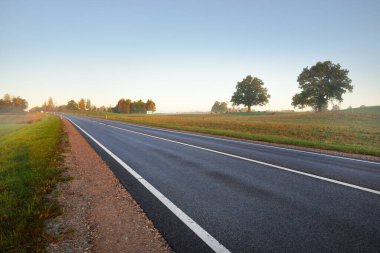 Karayolunun panoramik manzarası (yeni asfalt yolu) gün doğumunda sisli bir havada tarla ve ormanın içinden geçer. Kudretli meşe ağacı yakın plan. Saf altın ışık, berrak gökyüzü. Ulaşım, tatiller, sürüş, özgürlük