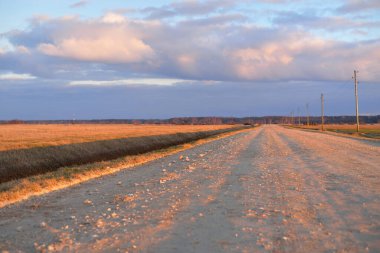 Gün batımında Letonya 'da tarladan geçen boş bir köy yolu. Transformatör direkleri yakın çekim. Arabadan bir manzara. Idyllic kırsal kesim. Renkli parlayan bulutlar. Ulaşım, yolculuk, özgürlük kavramları