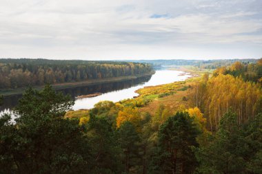Sonbaharda Daugava nehri kıvrımları ve görkemli çam ormanlarının panoramik hava manzarası. Daugavas Loki doğa parkı, Latgale, Letonya. Ekoloji, eko-turizm, eğlence, seyahat yerleri, dönüm noktaları