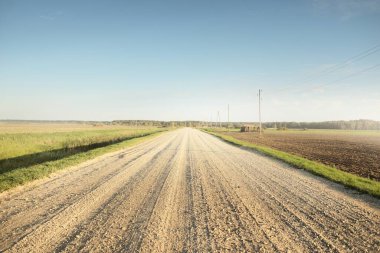 Gün batımında yeşil tarlalardan geçen boş bir köy yolu. Transformatör direkleri yakın çekim. Idyllic kırsal alanı, ABD. Seyahat yerleri, sürüş, özgürlük, turizm, gezi. Arabadan görüntüle
