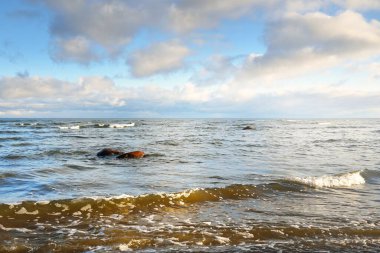 Kışın Baltık Denizi 'nin panoramik manzarası. Parlayan kümülüs bulutlarıyla açık mavi gökyüzü. Su yüzeyi dokusu, dalgalar ve su yakından sıçrıyor. Kararsız hava, iklim değişikliği, doğa, deniz manzarası