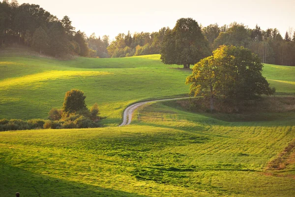 Заході Сонця Мальовничі Панорамні Краєвиди Зелених Пагорбів Луків Сільськогосподарські Поля — стокове фото