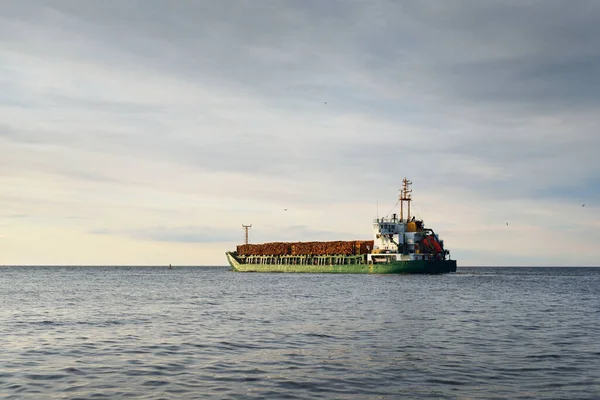 Großes Grünes Frachtschiff Mit Brennholz Holz Offenen Meer Bei Sonnenuntergang — Stockfoto