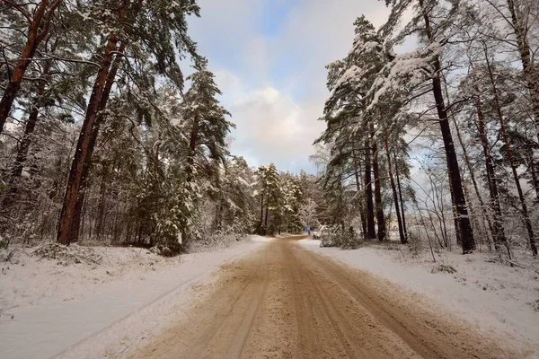 Snötäckt Landsväg Genom Den Vintergröna Tallskogen Vid Solnedgången Dramatisk Himmel — Stockfoto