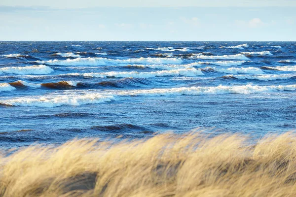 Θέα Στην Ακτή Της Βαλτικής Θάλασσας Ηλιοβασίλεμα Αμμόλοφοι Και Φυτά — Φωτογραφία Αρχείου