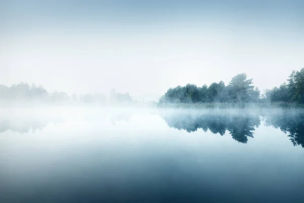 Paysage Pittoresque Lac Forestier Dans Épais Brouillard Blanc Réflexions Sur — Photo