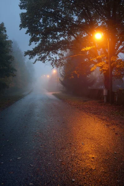 Empty Illuminated Country Asphalt Road Trees Village Fog Rainy Autumn — Stock Photo, Image