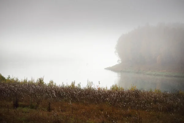 Panoramic View Majestic Golden Birch Forest Bends Daugava River Fog — Stock Photo, Image