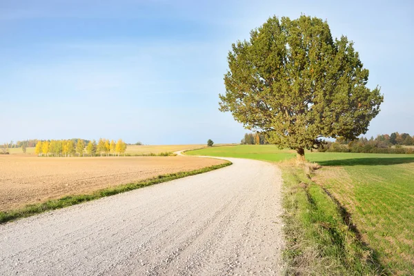 Uma Estrada Rural Vazia Sinuosa Através Campo Árvores Dia Claro — Fotografia de Stock