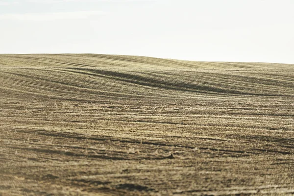 Champ Agricole Vert Labouré Avec Tracteur Pistes Lever Soleil Gros — Photo