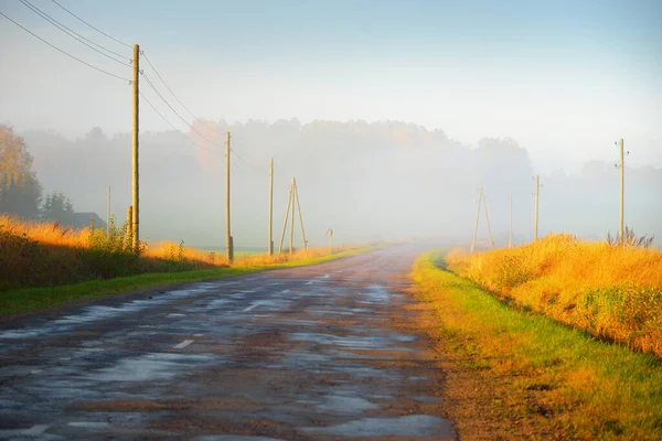 Una Vecchia Strada Asfaltata Campagna Attraverso Villaggio Campi Alla Foresta — Foto Stock