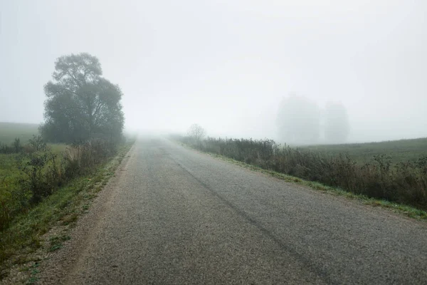 Panoramic View Car Dirt Road Fields Forest Fog Sunrise Europe — Stock Photo, Image