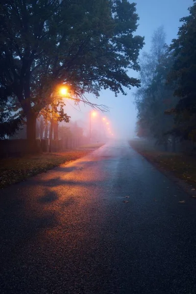 雨の秋の日に霧の中で木々や村を介して空の照明国のアスファルトの道路 街路灯を閉じると 赤の光 道路の旅 — ストック写真