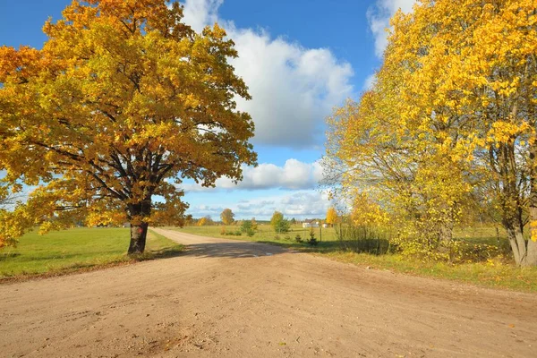 Country road through the green fields and golden deciduous trees (oak, maple, birch). Clear blue sky. Autumn colors. Idyllic rural scene. Seasons, fall, nature, ecotourism, logistics, distance