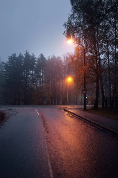 Empty Illuminated Country Asphalt Road Trees Small Town Fog Rainy — Stock Photo, Image