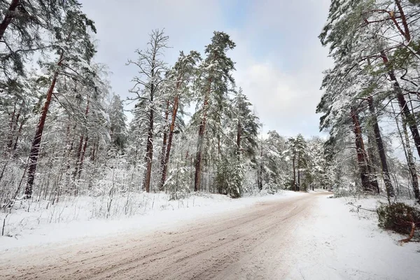 Snötäckt Landsväg Genom Den Vintergröna Tallskogen Vid Solnedgången Dramatisk Himmel — Stockfoto