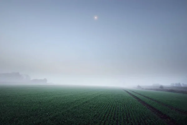 Vyorané Zemědělské Pole Kolejemi Traktoru Při Východu Slunce Měsíc Hvězdy — Stock fotografie