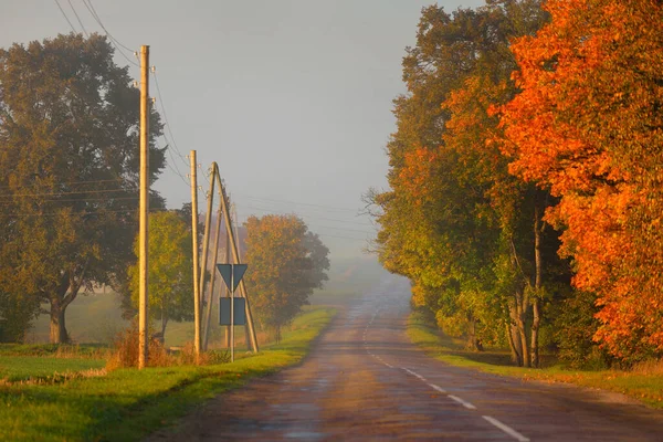 Old Country Asphalt Road Village Fields Forest Electricity Line Close — Stock Photo, Image