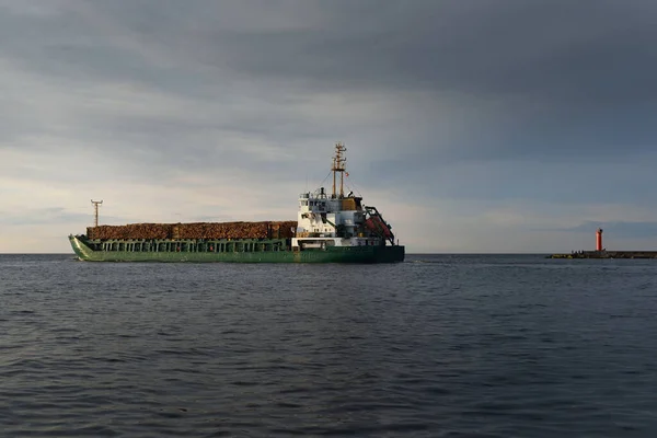 Grande Navio Carga Verde Com Lenha Madeira Mar Aberto Pôr — Fotografia de Stock