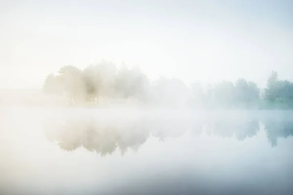 Cenário Pitoresco Lago Floresta Uma Névoa Branca Grossa Reflexões Sobre — Fotografia de Stock