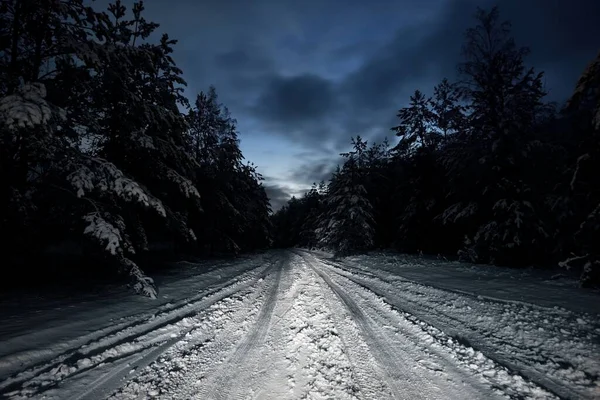 日没時には常緑の松林を通して雪に覆われた田舎道を照らします 近くの木を発芽させます 劇的な夕暮れの空 田舎の風景 リモート場所 危険な運転 オフロード 冬のタイヤ — ストック写真