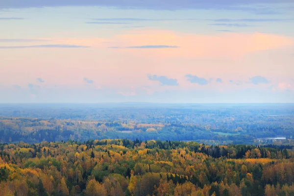 Picturesque Panoramic Aerial View Colorful Autumn Forest Golden Red Orange — Stock Photo, Image