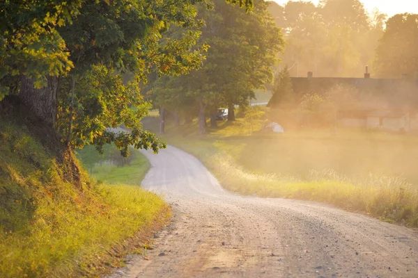 Winding Rural Road Alley Village Deciduous Trees Soft Golden Evening — Stock Photo, Image