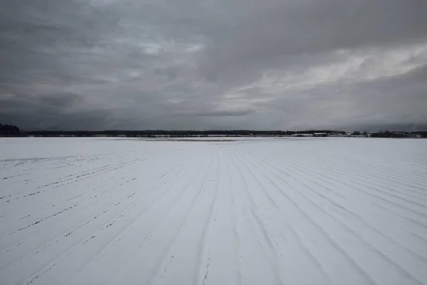 Snow-covered agricultural plowed field and forest under dramatic dark clouds before snowstorm. Winter rural scene. Nature, ecology, environment, climate change, global warming