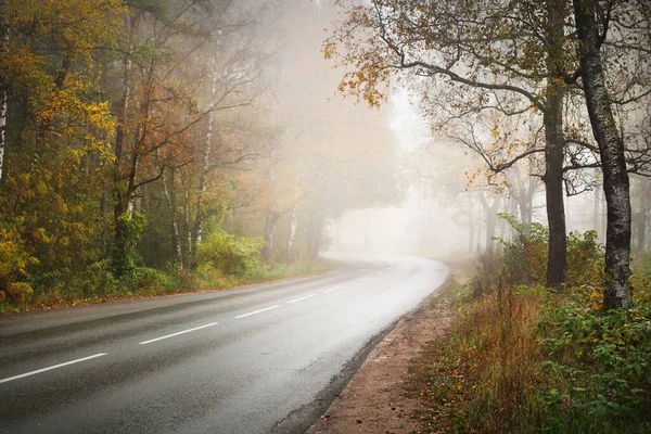 Uma Estrada Sinuosa Vazia Estrada Asfalto Através Floresta Outono Colorida — Fotografia de Stock