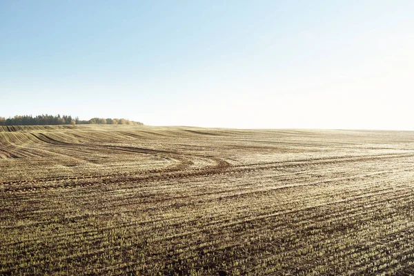 Campo Agrícola Arado Verde Con Huellas Tractores Amanecer Primer Plano —  Fotos de Stock