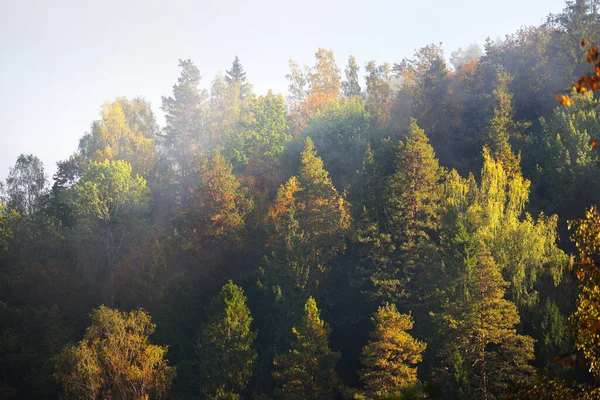 Valle Del Río Gauja Colorido Bosque Dorado Una Nube Espesa — Foto de Stock