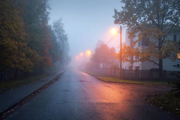 Empty Illuminated Country Asphalt Road Trees Village Fog Rainy Autumn — Stock Photo, Image