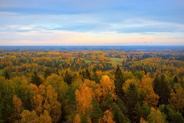 Γραφική Πανοραμική Θέα Του Πολύχρωμου Φθινοπωρινού Δάσους Χρυσά Κόκκινα Πορτοκαλί — Φωτογραφία Αρχείου