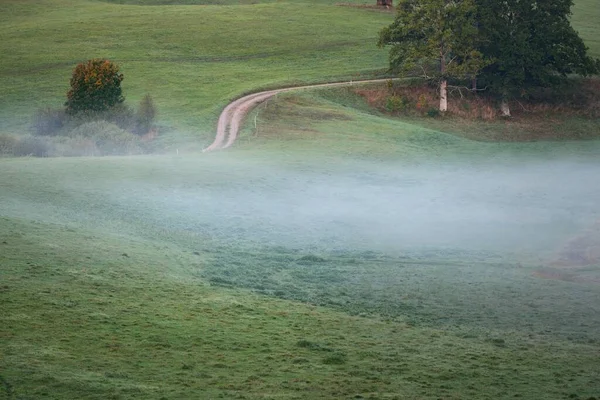 Живописный Вид Воздуха Извилистую Сельскую Дорогу Через Зеленые Холмы Поля — стоковое фото