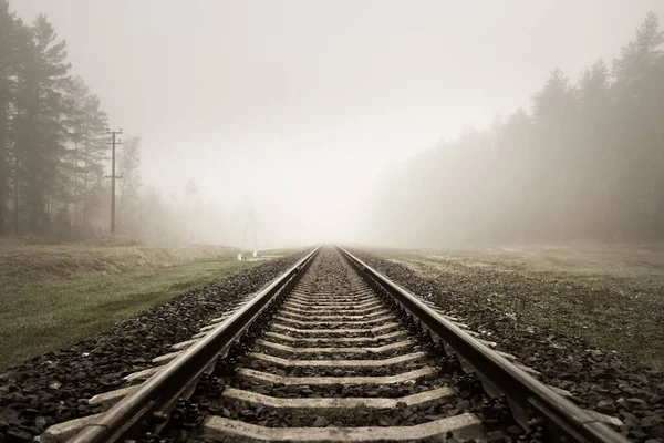Kalın Beyaz Sisli Tren Yolu Arka Planda Orman Manzara Kavramı — Stok fotoğraf