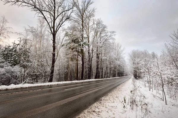 Snow-covered empty highway (new asphalt road) after cleaning. Alley of deciduous trees in a hoarfrost. Winter wonderland. Christmas vacations, travel destinations, dangerous driving. Panoramic view